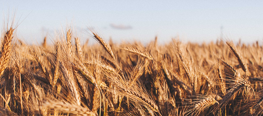 Calidad y sotenibilidad